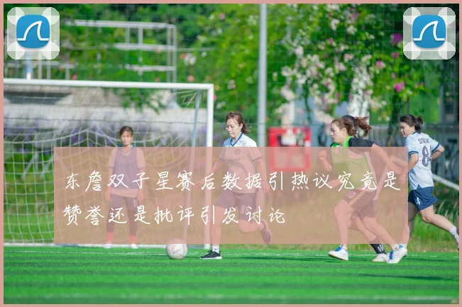 东詹双子星赛后数据引热议究竟是赞誉还是批评引发讨论